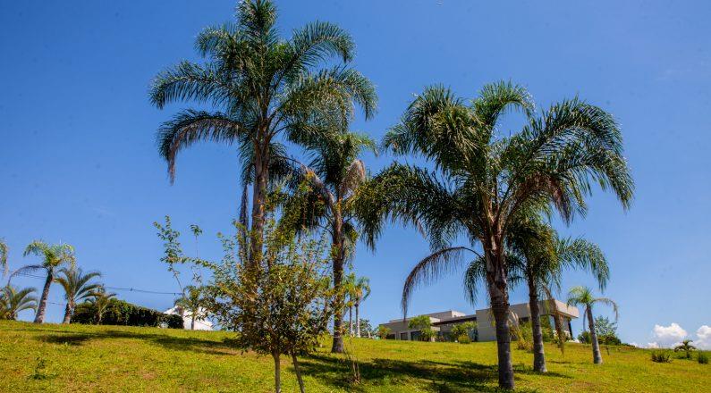 Residencial Altos da Quinta | Construtora Paschoal